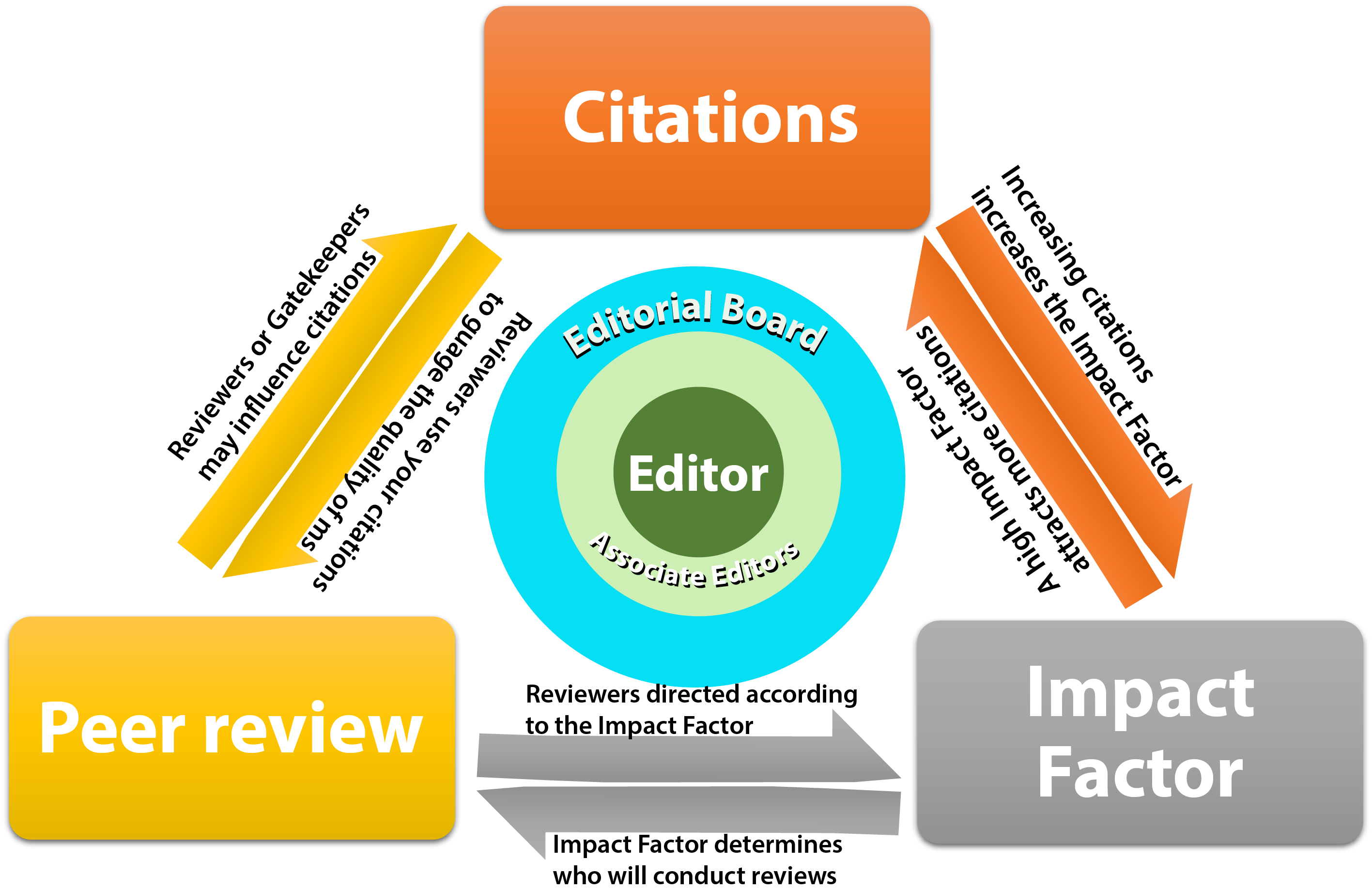 A simple schematic for the three fundamentals of publishing in the current Biological Sciences model. Citations, peer review and impact factors each have direct impact on each other and your understanding of each one and how they relate to the other will be pivotal in clarifying your understanding of how to publish your work. At the heart of the process are the gatekeepers: Editorial board, associate editors and the editor.